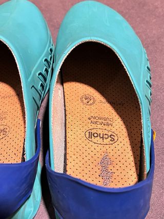 Zuecos Scholl Azul y verde
