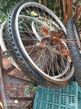 Ruedas y llantas de bicicleta