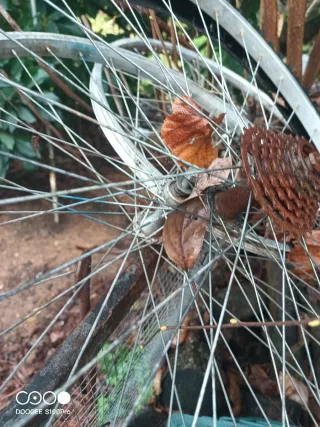 Ruedas y llantas de bicicleta