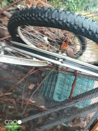 Ruedas y llantas de bicicleta