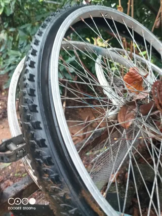 Ruedas y llantas de bicicleta