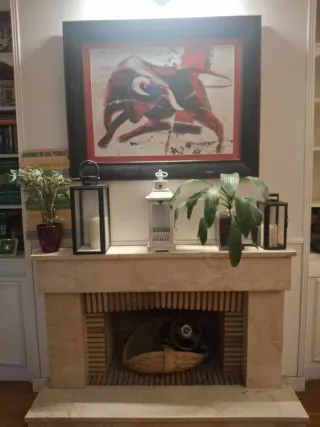 Cuadro Toro Negro y Rojo