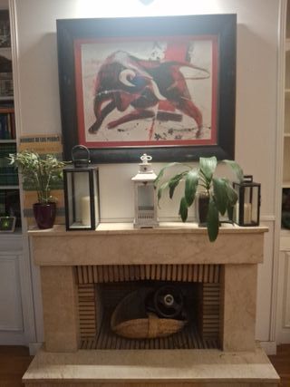 Cuadro Toro Negro y Rojo