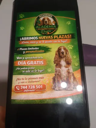 Curso de peluquería canina en sevilla