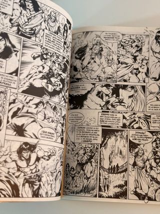 La Espada Salvaje de Conan Tomo 3 y 4