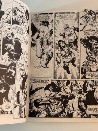 La Espada Salvaje de Conan Tomo 3 y 4