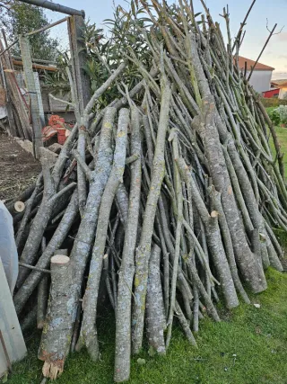 Leña verde para chimenea