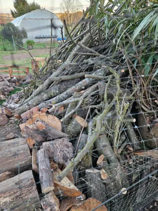 Leña verde para chimenea