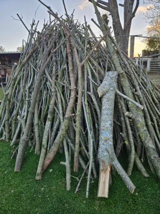 Leña verde para chimenea