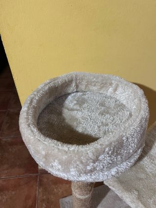 Rascador para Gatos