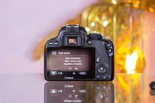 Canon 100D + EF-s 18-55mm IS STM