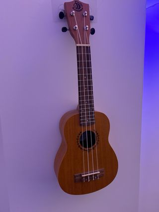 Ukelele Bumblebee