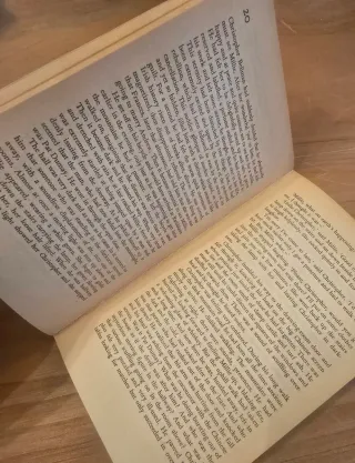 Iris Murdoch, The Red And The Green, Penguin