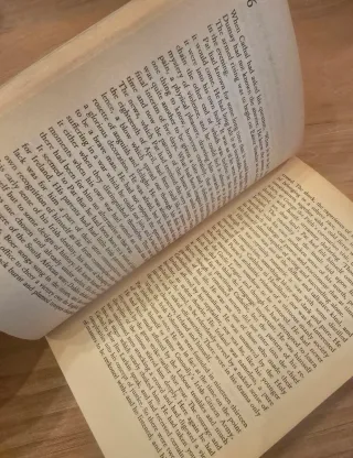 Iris Murdoch, The Red And The Green, Penguin