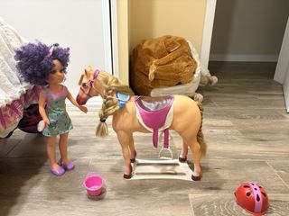 Nancy con caballo de competición precio negociable