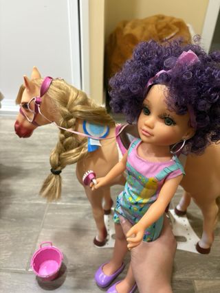 Nancy con caballo de competición precio negociable