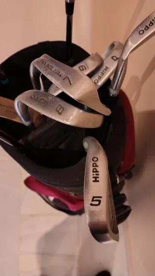 Bolsa de palos de golf con varios palos