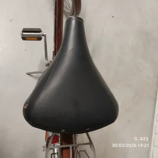 Bicicleta Raleigh Clásica Marrón