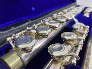 otros instrumentos musica roy benson fl-502e