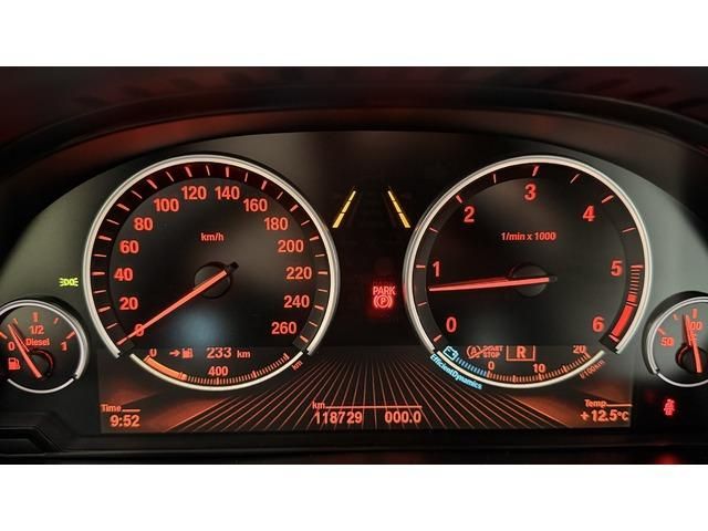 BMW X6 xDrive40d 230 kW (313 CV)