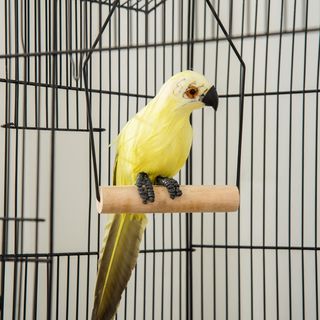 Gabbia per Uccelli, Voliera con Maniglia e Porte, Piccola Gabbia con Altalena, Ciotoline e Giocattoli, 46X36X100 Cm, Nero