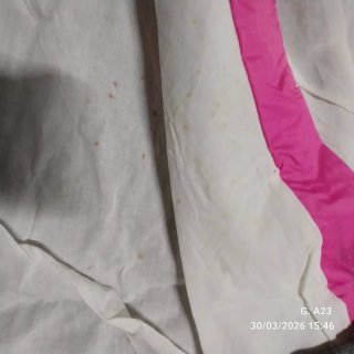 Tienda campaña tipo Iglú muy grande para 4 persona