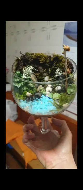 LOS HAGO PERSONALIZADOS! Terrario Mini Jardín Zen