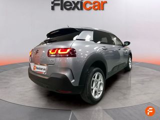 Citroën C4 Cactus BlueHDi 73KW (100CV) Business