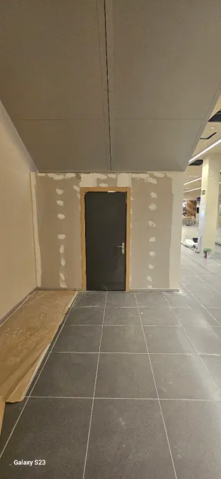 Servicios Profesionales de Pintura