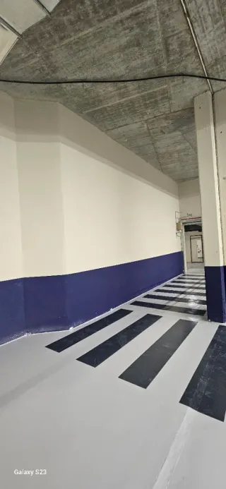 Servicios Profesionales de Pintura