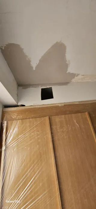 Servicios Profesionales de Pintura