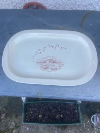 Piatto Mulino Bianco