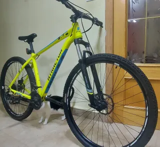 Bicicleta Montaña Amarilla