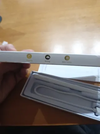 Lápiz Stylus para Tablets