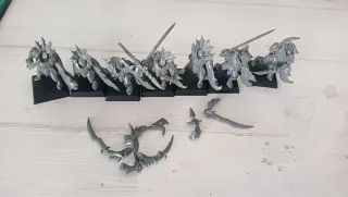 Corsari Elfi Oscuri (Warhammer)