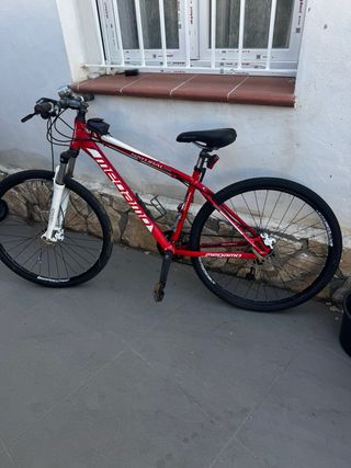 Bicicleta de montaña y paseo Megamo150