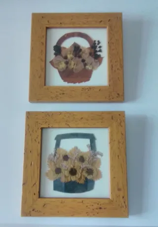 Cuadros de flores secas (2 unidades)