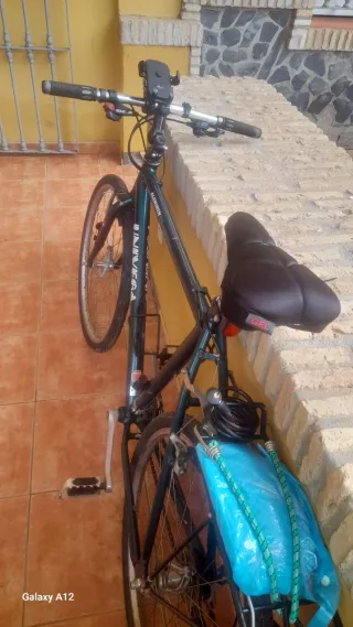 Bicicleta Aluminio Univega 26