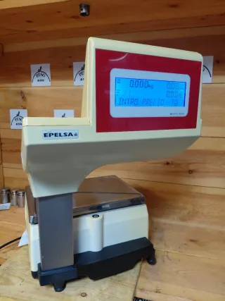 Balanza Epelsa Júpiter 22 RL