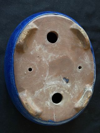 Maceta Bonsái Cerámica Azul