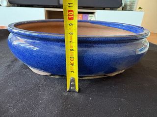 Maceta Bonsái Cerámica Azul