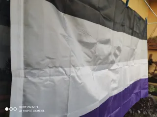 Bandeira Assexual 150x90 cm