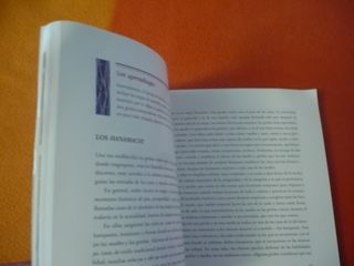 SECRETOS DE ALCOBA DE LAS GEISHAS EL ARTE JAPONES