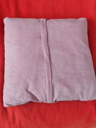 2 Cuscini indiani ricamati con specchi