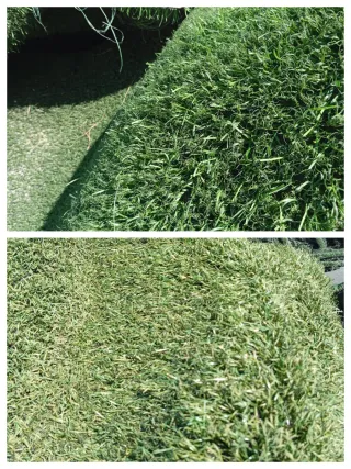 Venta de césped artificial