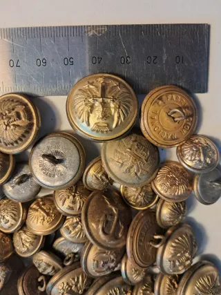 Lote 65 botones militares antiguos