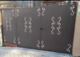 Puertas segunda mano CHOLLO