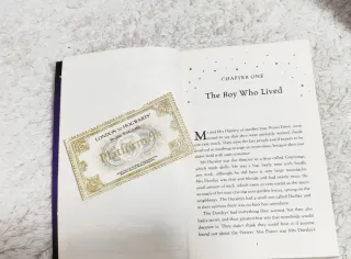 Set colección completa Harry Potter + Billete tren