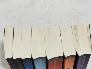 Set colección completa Harry Potter + Billete tren