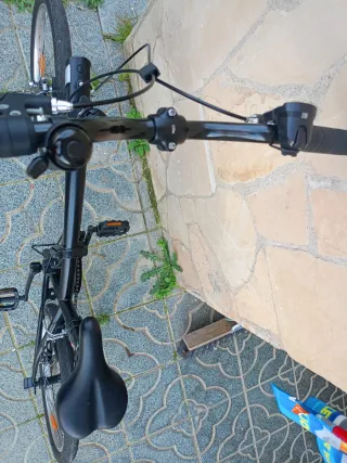 Bicicleta plegable negra